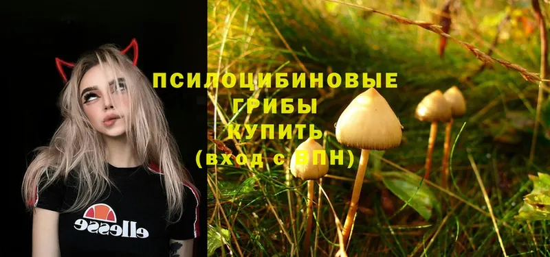 Галлюциногенные грибы MAGIC MUSHROOMS  Видное 